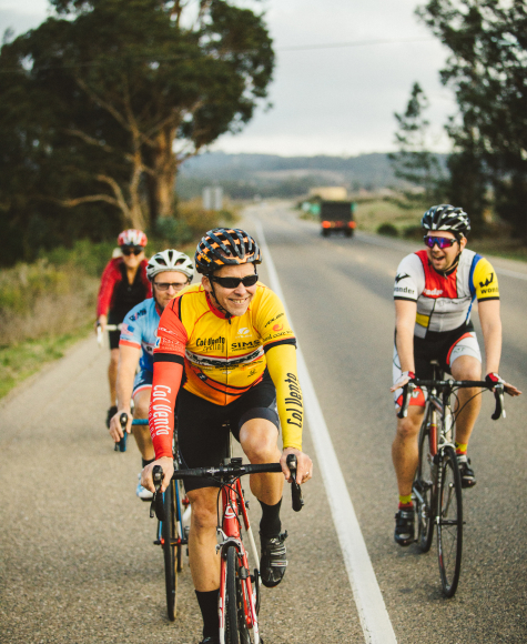A group of road cyclists riding through wine country