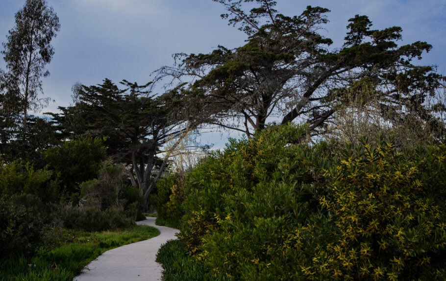 Guiton Trail
