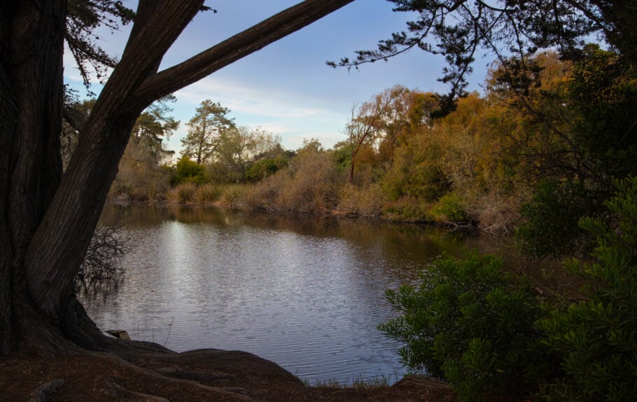 Guiton Trail