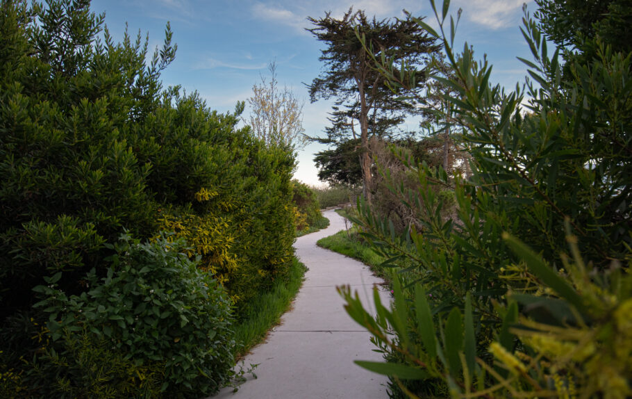 Guiton Trail