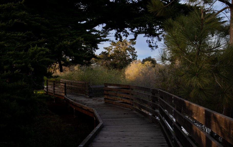 Guiton Trail