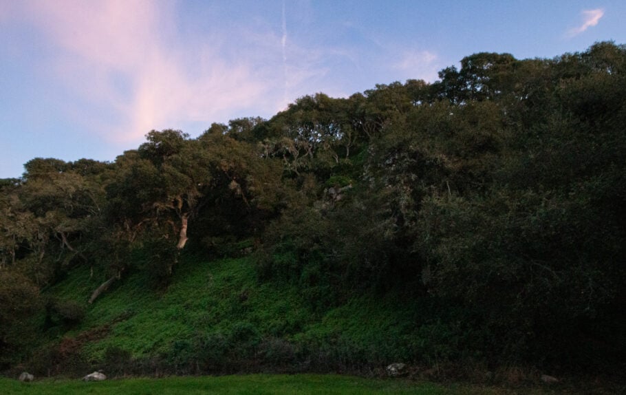 Price Historical Park