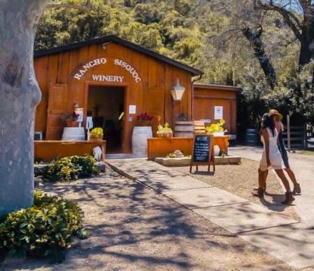 You can even enjoy parental pit stops at wineries during your family trips in California