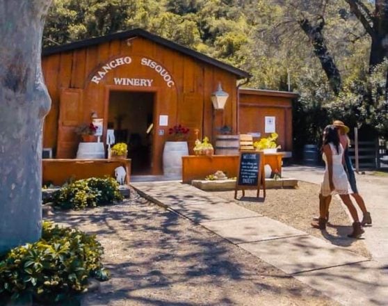 You can even enjoy parental pit stops at wineries during your family trips in California