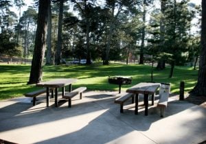 Enjoy a relaxing afternoon at Waller Park with your family