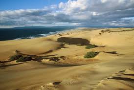 guadalupe dunes with the ocean at the horizon 