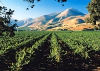 Santa Maria Wine Country