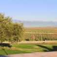 Ca' Del Grevino Winery in Santa Maria Valley, California.