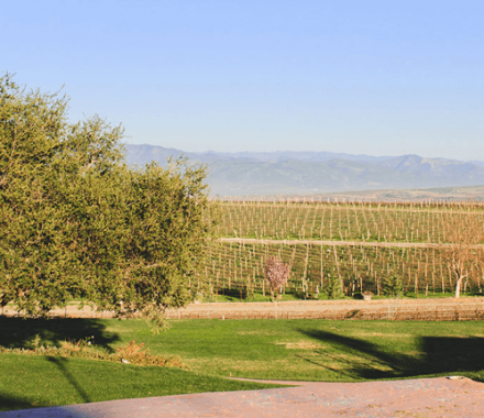 Ca' Del Grevino Winery in Santa Maria Valley, California.