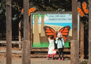 Experience the beauty of monarch butterflies during family getaways in California