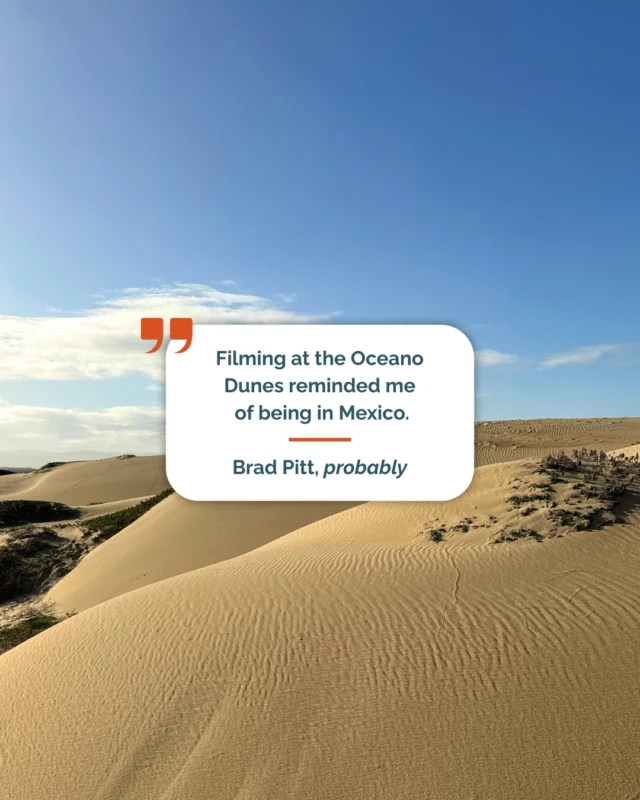 Local faves, downloadable guides, first-to-know happenings — our newsletter is like your VIP pass to all things Santa Maria Valley.Want to join the list? Link in bio.