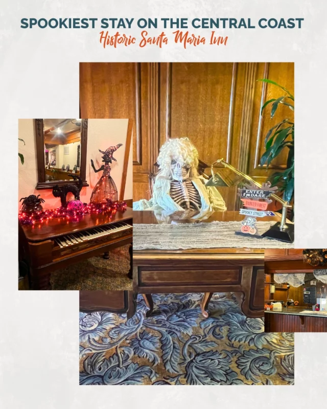 @thehistoricsantamariainn has it all this season: festive Halloween décor, historic charm, and maybe even a friendly ghost or two... It's the perfect spooky-season stay. 🍂✨