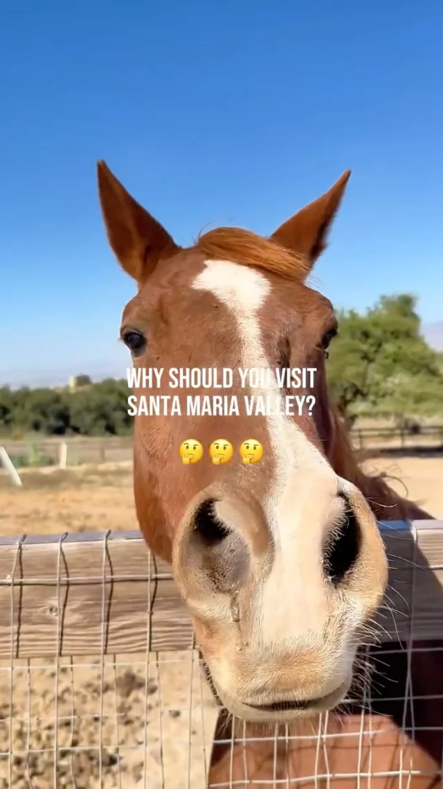 You want California cool without the crowds? We got you.Hidden gems, stunning views, down-to-earth wine country, and barbecue that started its own style.