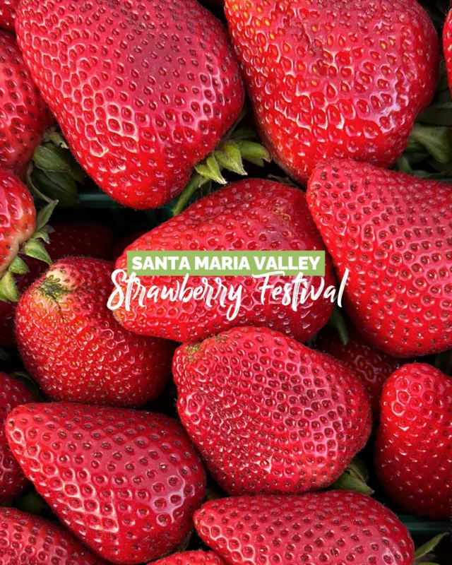 Sweet and 100% California. 🍓We&rsquo;re celebrating National California Strawberry Day with a look back at the best moments from the Santa Maria Strawberry Festival, from juicy bites to fun for the whole family.Think you&rsquo;re ready for this year&rsquo;s strawberry magic? Check out the link in our bio to plan your visit!