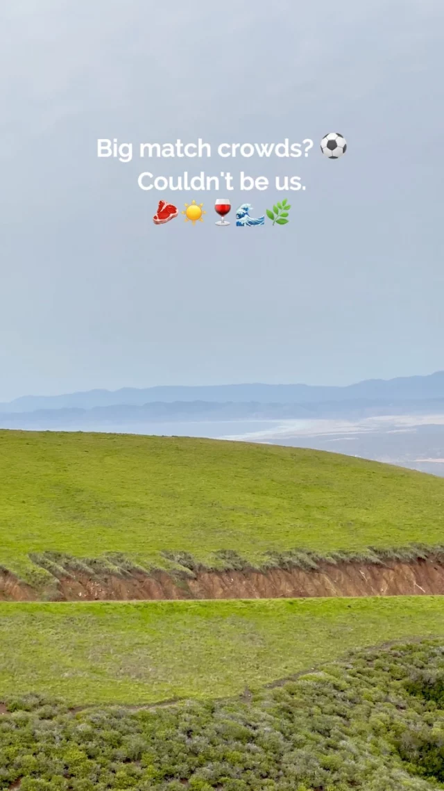 Big matches.⚽ Bigger crowds.🤔 Hard pass.While everyone's stuck in traffic, you could be on an open road headed straight for Santa Maria Valley&ndash;right between Los Angeles and the Bay Area&ndash;and a world away from the chaos.Room to breathe, savory Santa Maria Style barbecue, award-winning wines, and a coast that doesn't care about the final score.🔗 Tag your road trip co-pilot and start planning at the link in our bio.