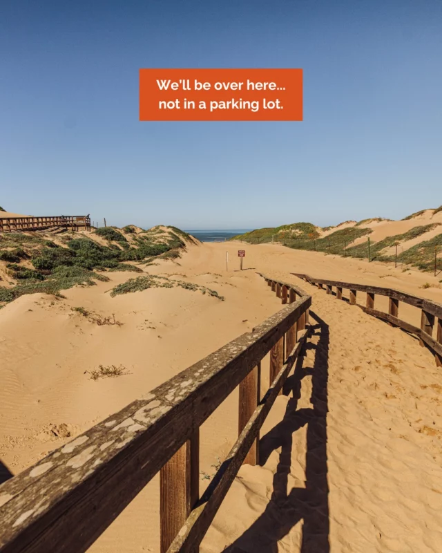 Looking to ditch the big match crowds? ⚽You could spend your summer in traffic&hellip;
or you could spend it here.Right between Los Angeles and the San Francisco Bay Area, Santa Maria Valley is the kind of getaway that doesn&rsquo;t require a game plan.✨ Think open roads, coastal views, Santa Maria Style barbecue, and wine without the wait.🔗 Plan your getaway at the link in our bio.