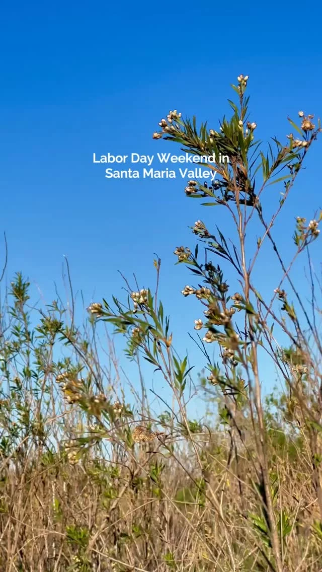 The long weekend you'll actually come back feeling rested from. 🤩Cooler temps, world-class wine, Santa Maria Style barbecue, and just enough to do without overwhelming your out-of-office energy.🔗 Link in bio to start planning.