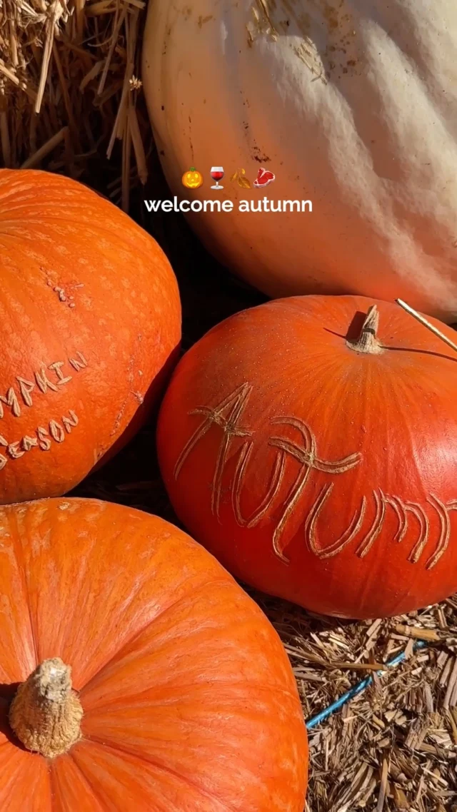 Pumpkin spice is...fine. But have you tried pairing it with Santa Maria Style barbecue and local wine on an autumn day? 🍂🍷